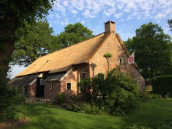 Afbeelding invoegen